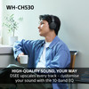 Sony, WHCH530GCE7, WH-CH530 Wireless Headphones, Green
