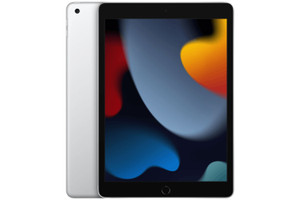 Apple, MK2P3B/A, 10.2 Inch iPad Wi-Fi 256GB, Silver