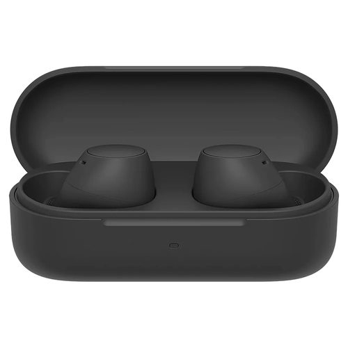 Sony, WFC510BCE7, WF-C510 In-Ear True Wireless Earbuds, Black