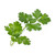 Veritable, VLINA10PER002, Lingot Italian Parsley Organic, Multi