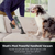 Shark, BH102UK, PowerBoost Pet Cordless CarHome Handheld Power Vac, Multi