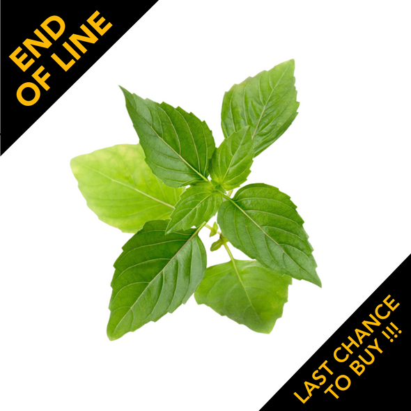 Veritable, VLINO10BAS00D, Lingot Thai Basil Organic, Multi