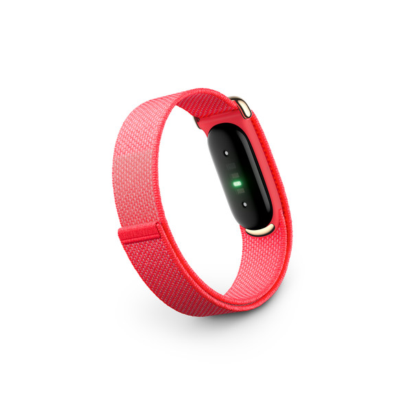 Fitbit, GA11016, Google Fitbit Air, Berry Champagne Gold
