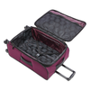 American Tourister - 4 Kix 2.0 20 Spinner - Purple Orchid