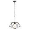 Lalia Home 1 Light Metal Wire Paragon Pendant Fixture - Black