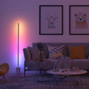 Govee - RGBIC Floor Lamp