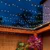 Philips - Hue Festavia 65-Foot 250-LED Smart String Lights - White and Color Ambiance