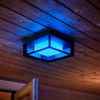 Philips - Hue Econic Outdoor Wall and Ceiling Light - Black