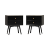 Walker Edison - 2-Piece Mid-Century 2-Drawer Nightstand Set - Black