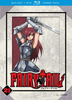 Fairy Tail: Part 21 [Blu-ray/DVD] [4 Discs]