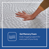 Sealy Essentials 8 Inch Memory Foam Mattress in a Box, Firm, Queen - White