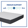 Sealy Essentials 10 Inch Memory Foam Mattress in a Box, Medium, Queen - White