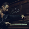 Wild World [LP] - VINYL