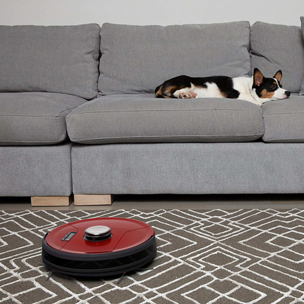bObsweep - PetHair SLAM Wi-Fi Connected Robot Vacuum and Mop - Jasper