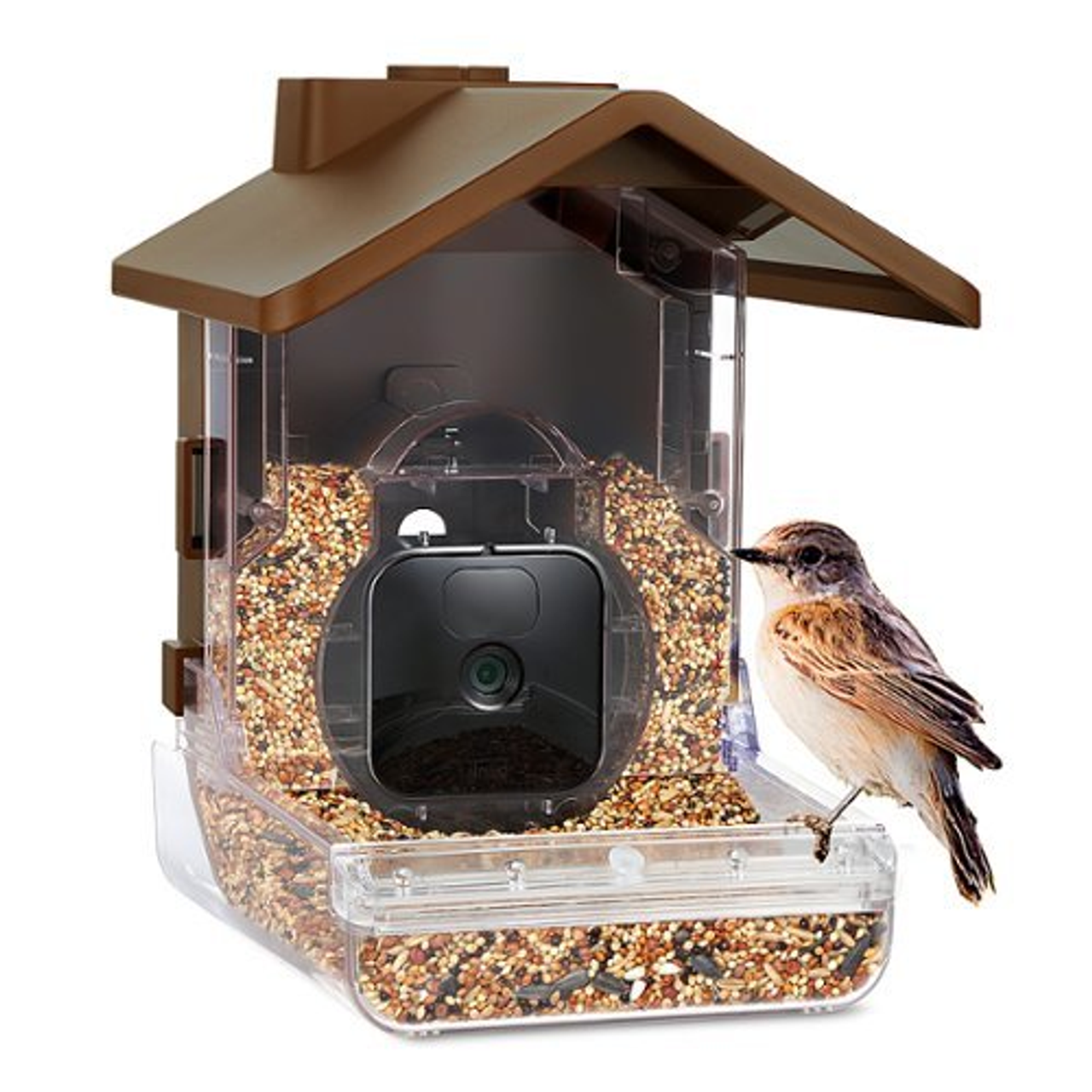 Wasserstein - Bird Feeder Camera Case Compatible with Blink, Wyze, and Ring Cam (Camera NOT Included)