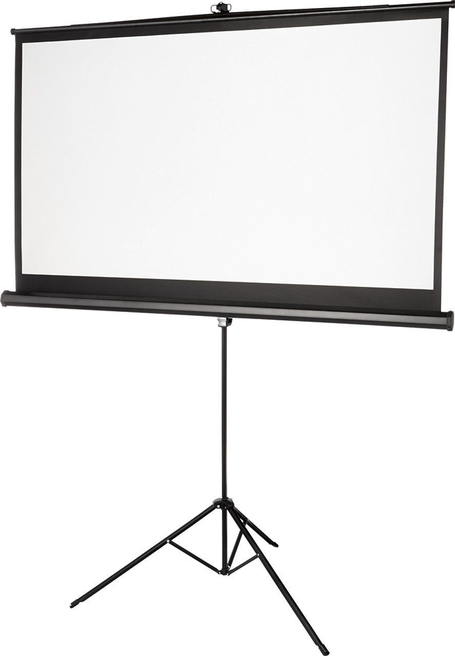 Insignia™ - 75" Tripod Projector Screen - Black/White