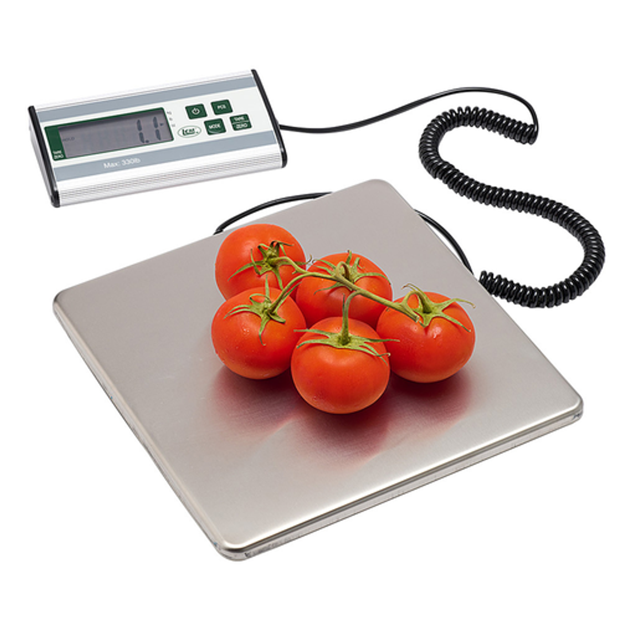 LEM Product - 330LB Stainless Steel Digital Scale - Stainless