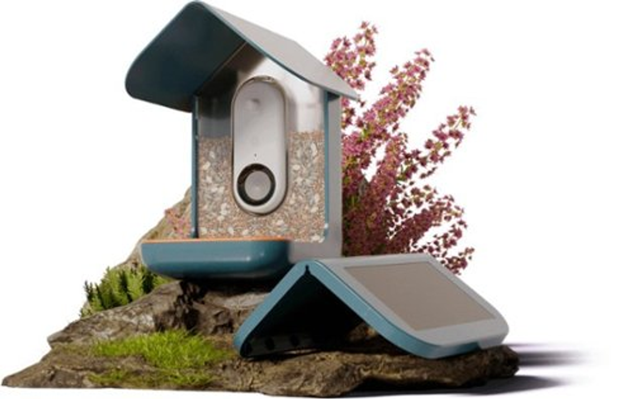 Bird Buddy - Smart Bird Feeder with Solar Roof - Blue