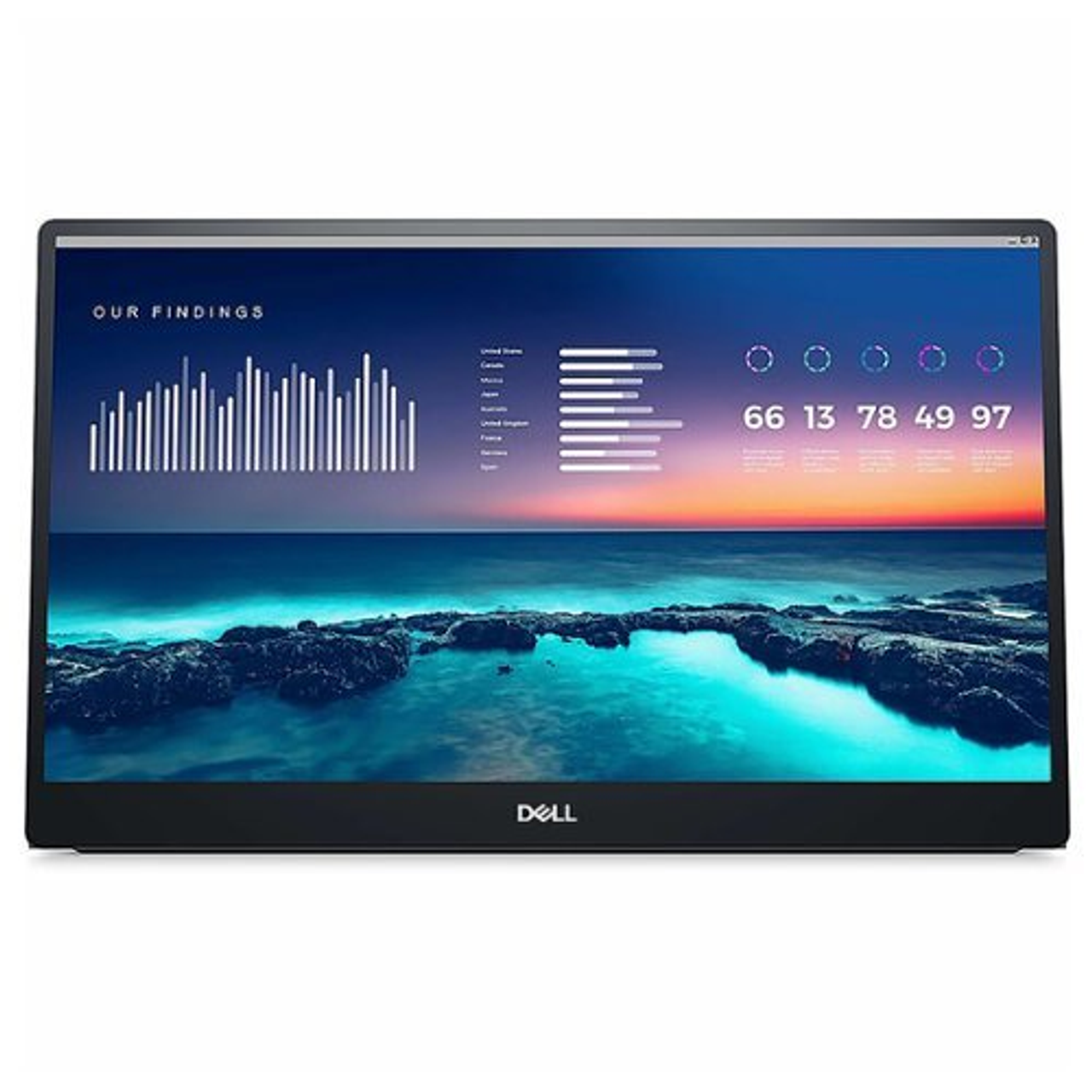 Dell - 14" IPS LED FHD 60Hz Monitor (USB) - Black