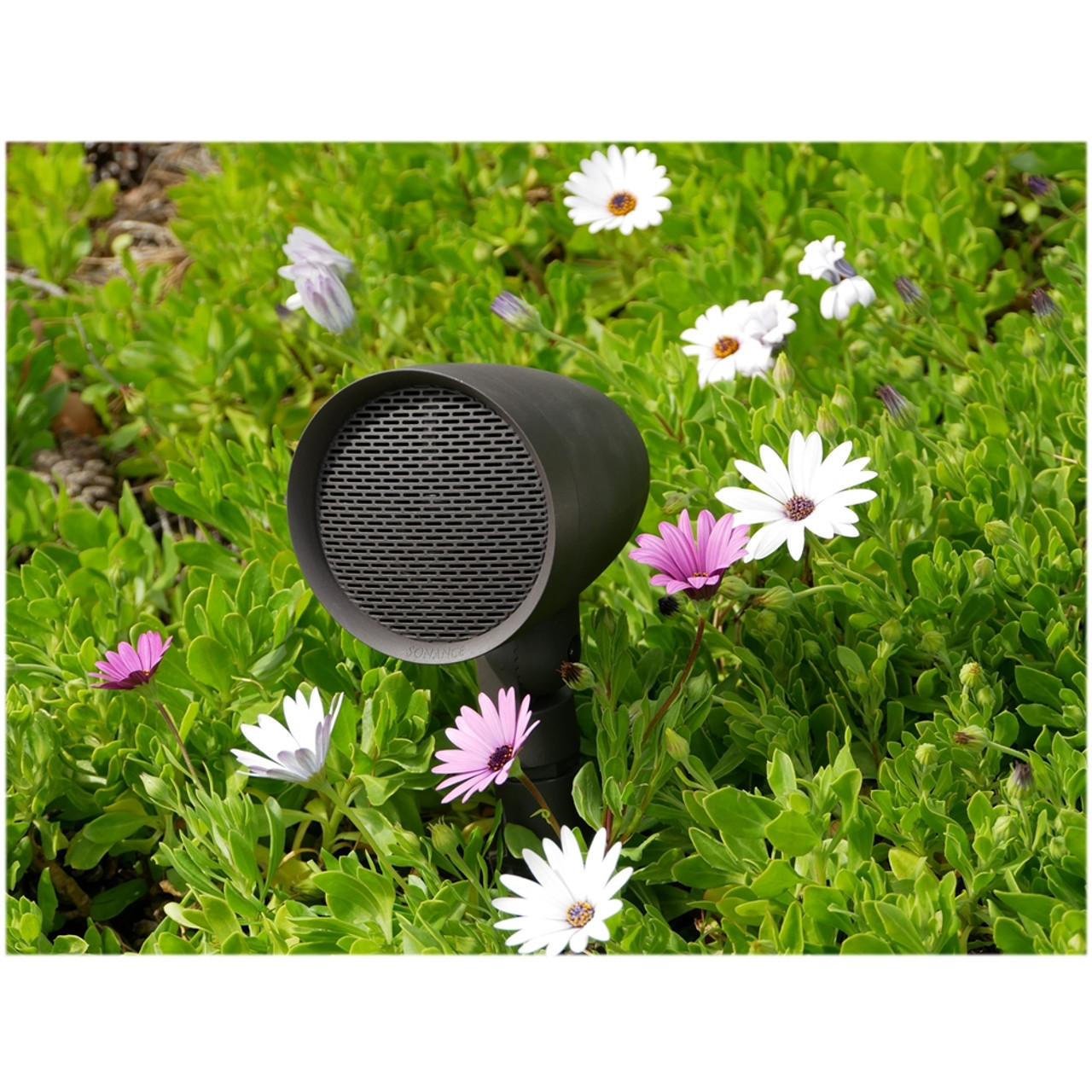 Sonance - Garden Series Passive 2-Way Outdoor Speaker (Each) - Dark Brown