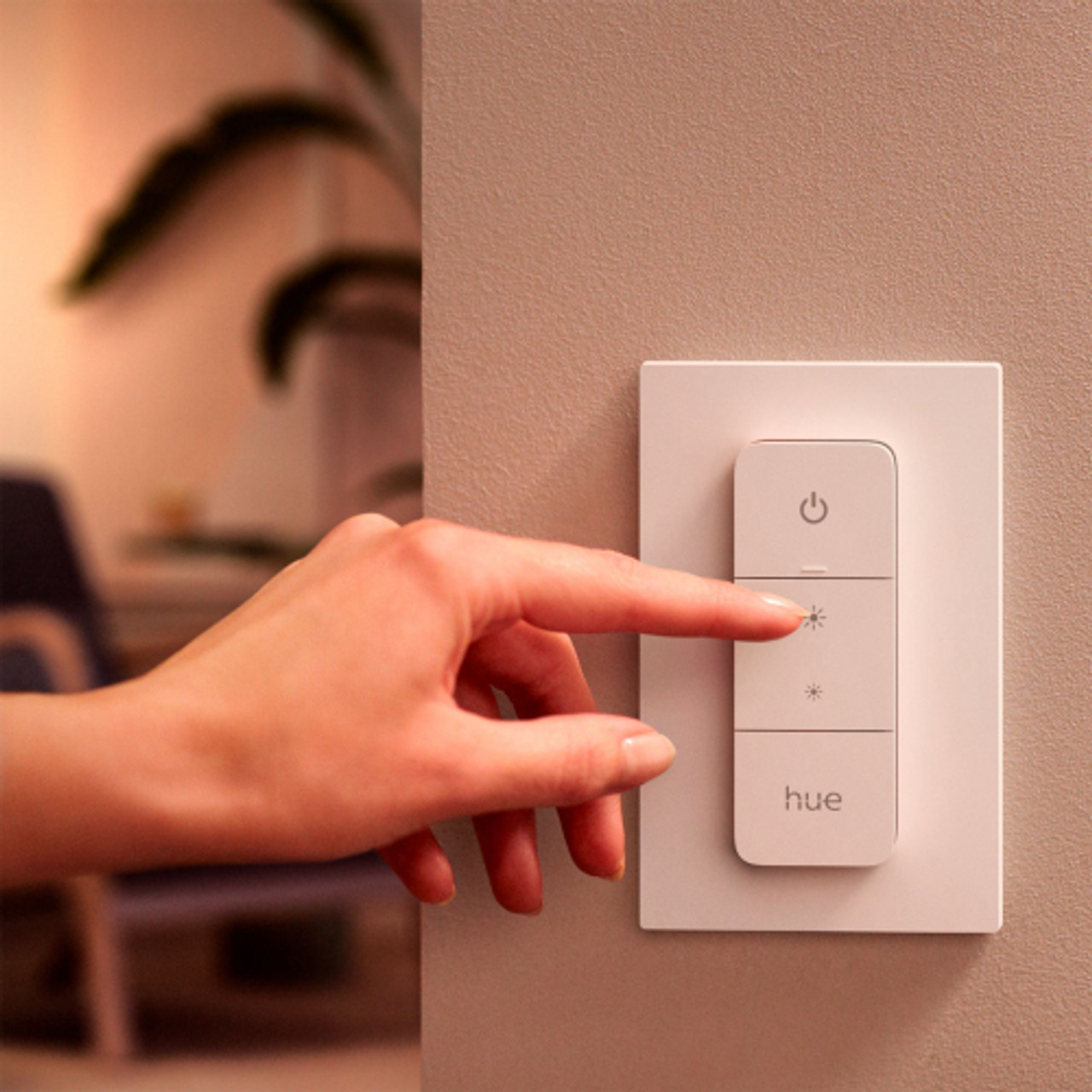 Philips Hue Dimmer Switch - White