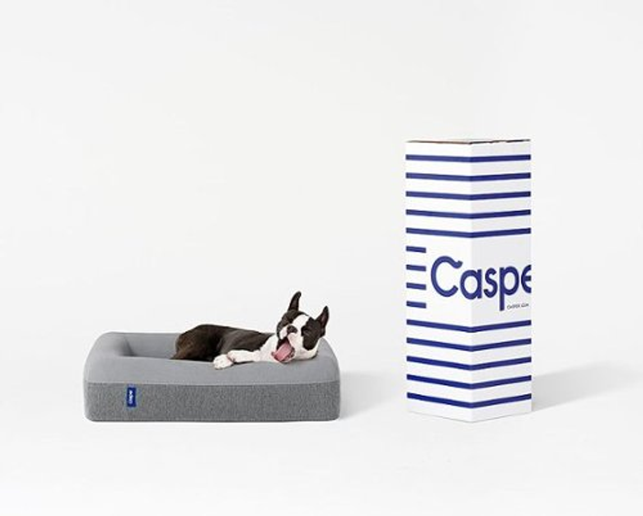 Casper Dog Bed, Gray, Large - Gray