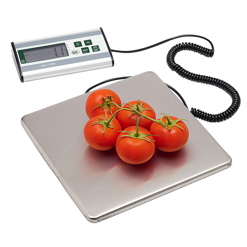 LEM Product - 330LB Stainless Steel Digital Scale - Stainless