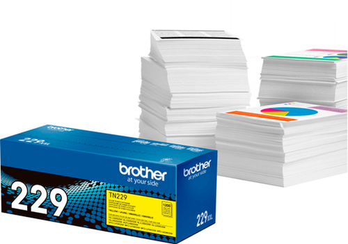 Brother - TN229Y Standard-Yield Toner Cartridge - Yellow