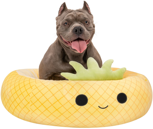 Jazwares - Squishmallows Pet Bed - Maui the Pineapple - Large