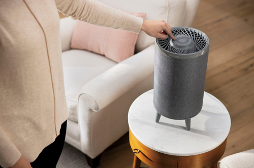 BISSELL - MYair+ Air Purifier - Gray