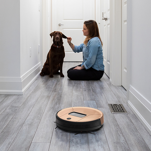 bObsweep - PetHair Vision PLUS Wi-Fi Connected Robot Vacuum and Mop, Beech - Beech