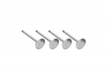 BUGPACK Stainless Steel Valves, 35.5mm, 4 pieces