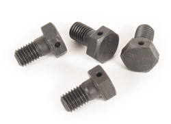 Front Backing Plate Bolt Hardware Kit 1971-1979 Super Beetle