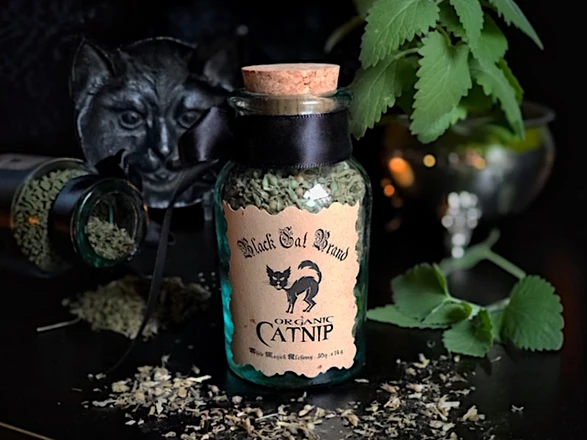 Catnip for Cats | Uses, Effects, Safety, and Magical History