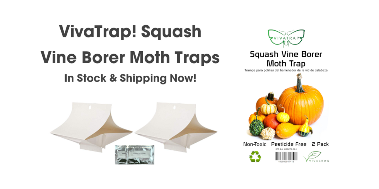 VivaTrap! Flat Pantry Moth Trap and Lure (2 Pack) at