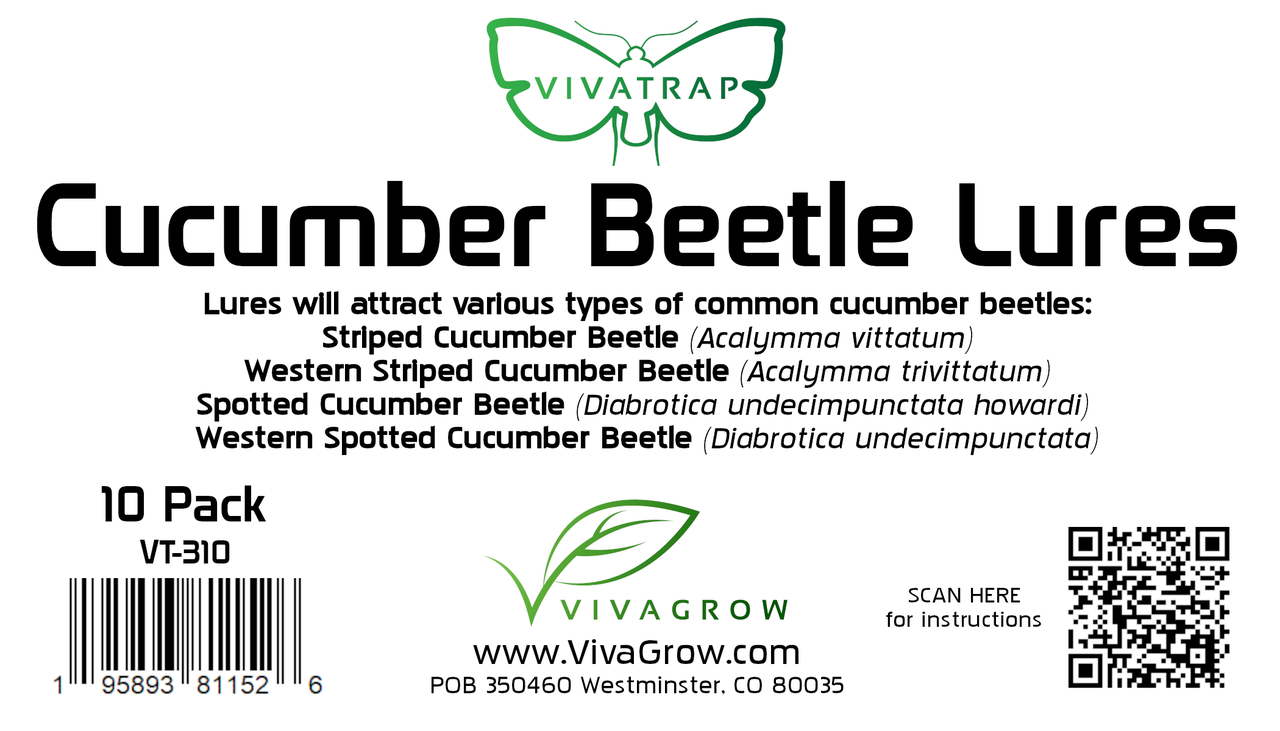 VivaTrap! Cucumber Beetle Lures 10 Pack - EcoGreenWarehouse