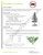 BeetleBlock Verbenone 10 Pack