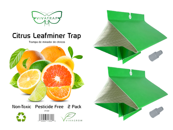 VivaTrap VT-102 Citrus Leaf Miner Trap + Lure (2 pack) 195893116560