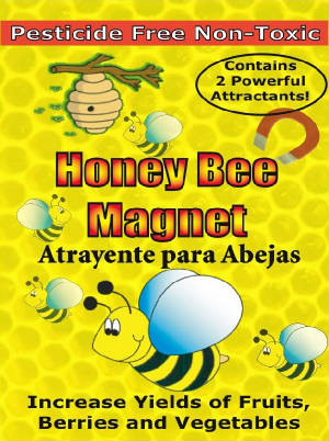 https://cdn11.bigcommerce.com/s-91535/products/35/images/122/Honey_Bee_Magnet_package__23979.1618352495.386.513.jpg?c=2