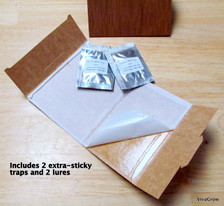 VivaTrap! Clothing Moth Trap & Lure 2 Pack