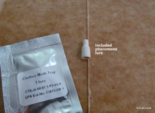VivaTrap! Clothing Moth Trap & Lure 2 Pack