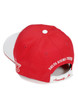Delta Sigma Theta Sorority Hat- Three Greek Letters-Red
