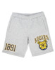 North Carolina A&T State University NCAT Shorts- Gray