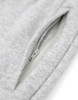 Kentucky State University Shorts- Gray