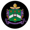 Delta Sigma Phi Fraternity LED Car Door Light- Set of 2