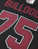 Alabama A&M University 150th Anniversary Football Jersey- Black-Men's