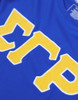  Sigma Gamma Rho Sorority Dri-Fit Shirt- Glitter Three Greek Letters-Blue