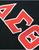 Delta Sigma Theta Sorority Dri-Fit Shirt- Glitter-Three Greek Letters-Black