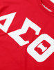 Delta Sigma Theta Sorority Dri-Fit Shirt- Glitter Three Greek Letters-Red