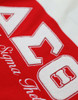 Delta Sigma Theta Sorority Sweater-Button Down-Crest-Red/White